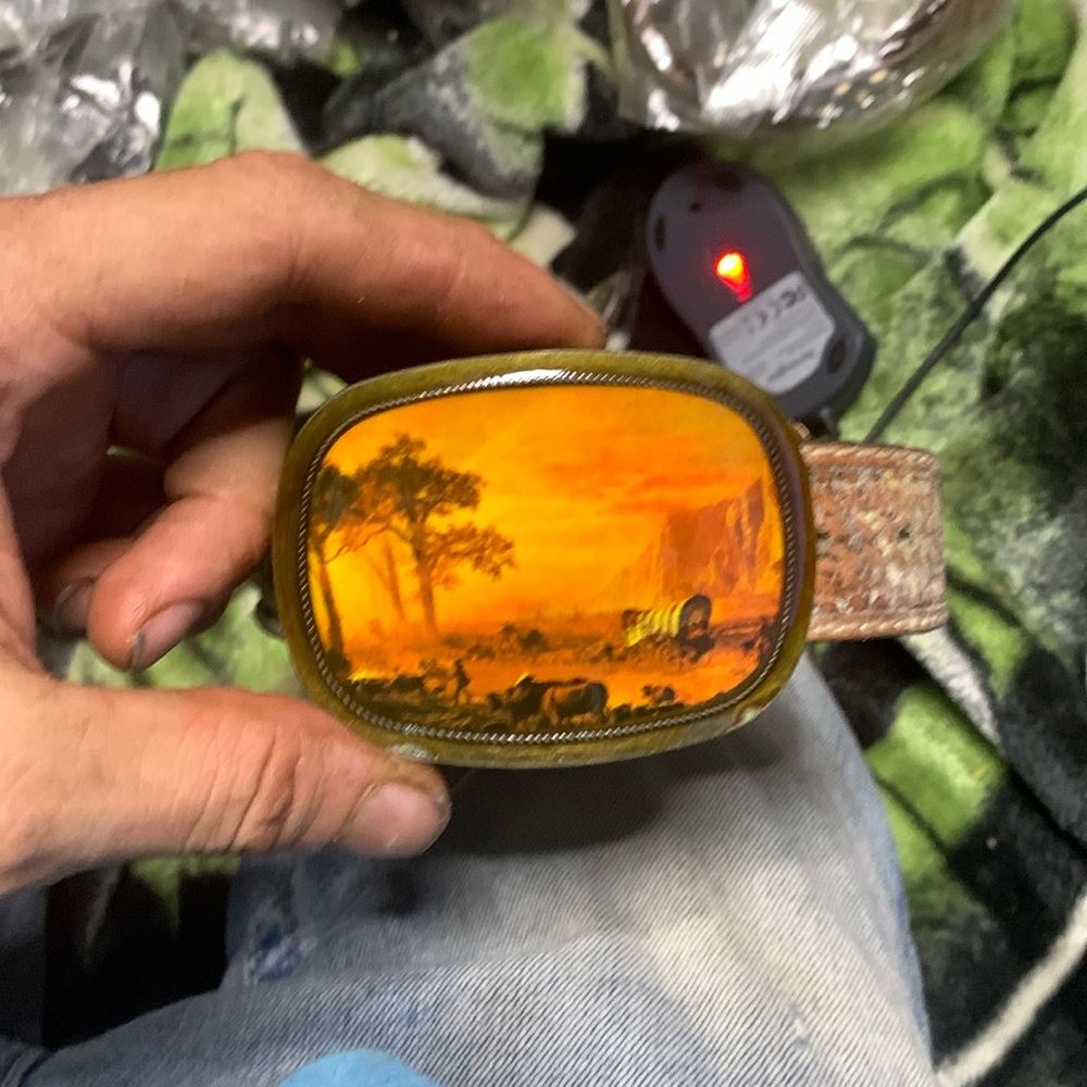 Belt